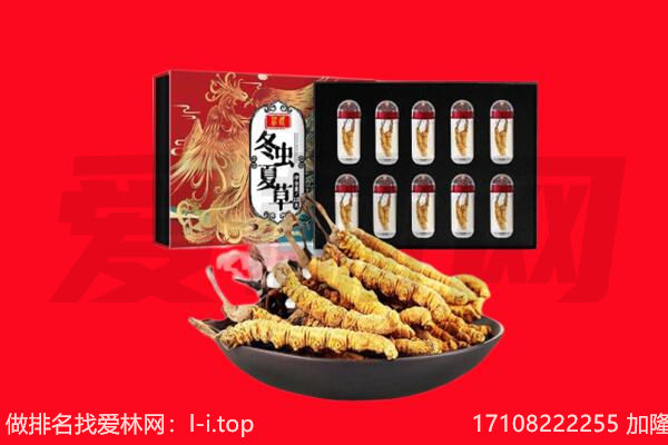 余江区回收虫草.jpg